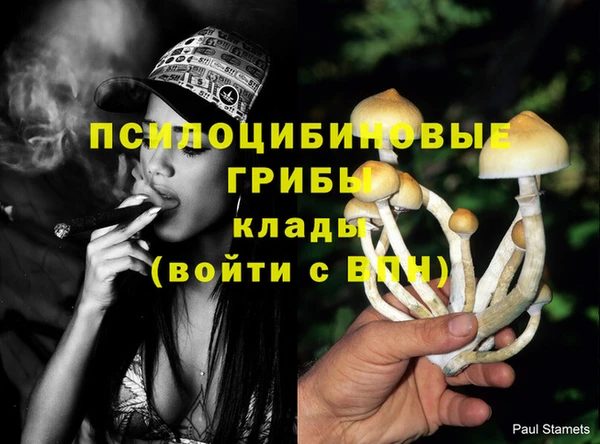 соль ск Абинск